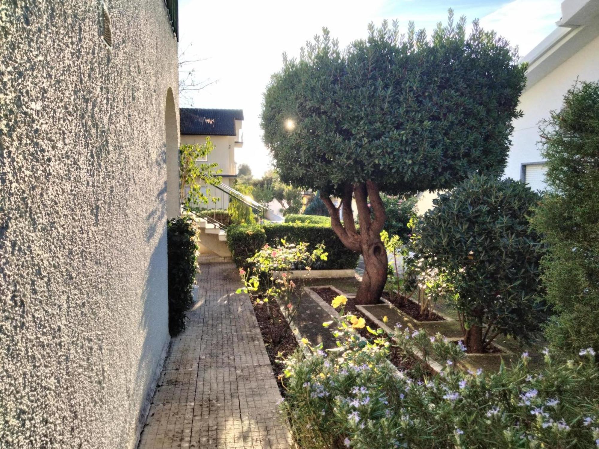 مبيت وإفطار Santarém Casa Xantarim المظهر الخارجي الصورة